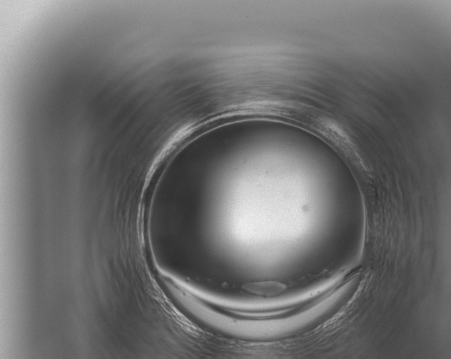 X0000059801180200510281631