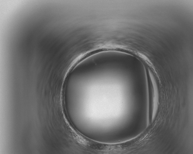 X0000059801183200510281631