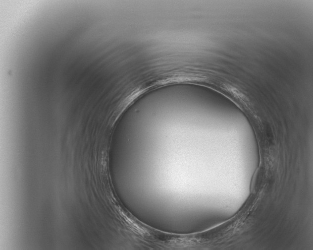 X0000059801185200510281631