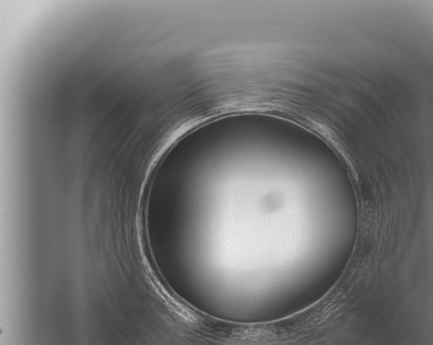 X0000059801187200510281631