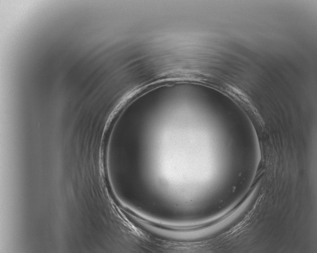 X0000059801188200510281631