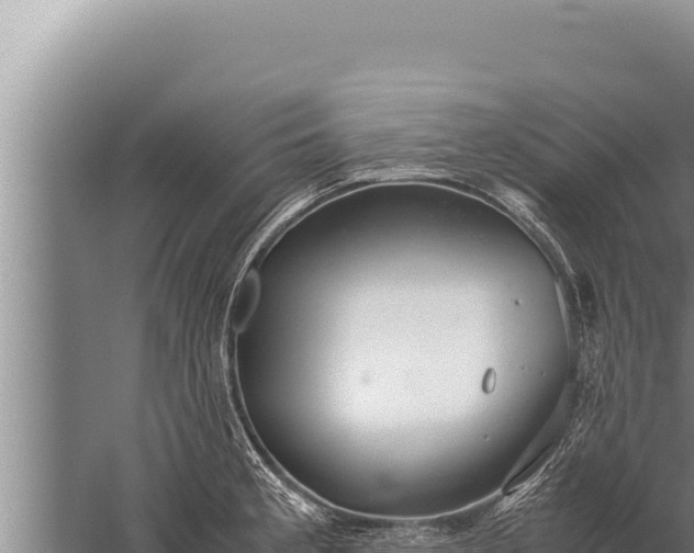 X0000059801189200510281631