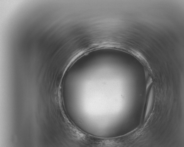 X0000059801190200510281630