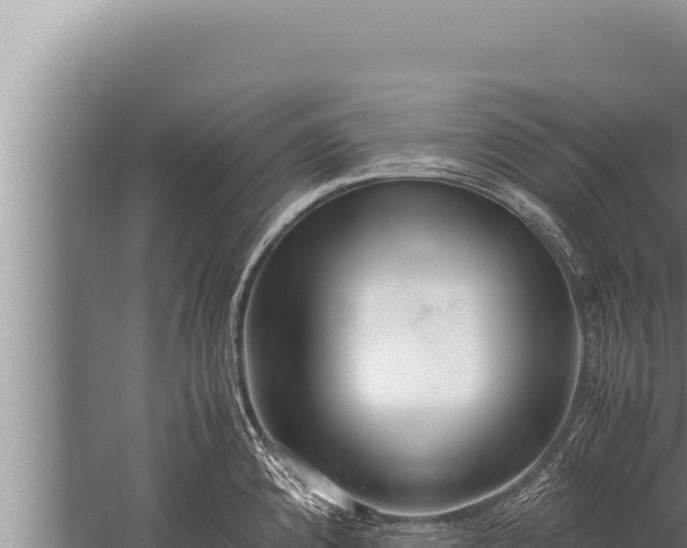 X0000059801192200510281630