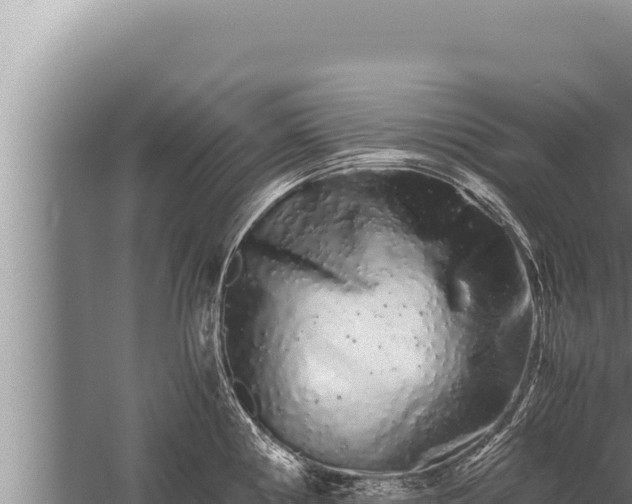 X0000059801194200510281630