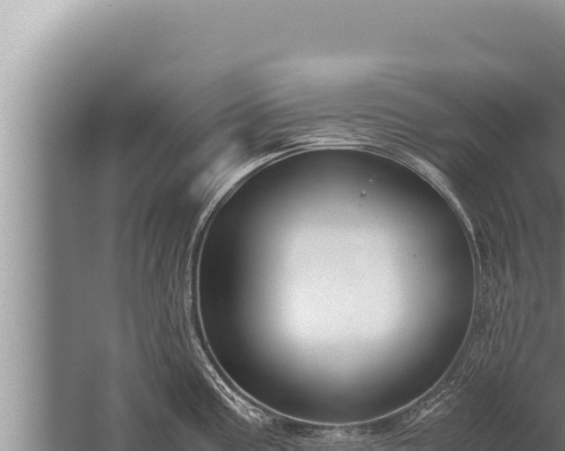 X0000059801195200510281630