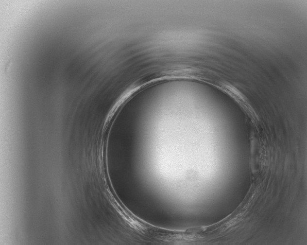 X0000059801196200510281630