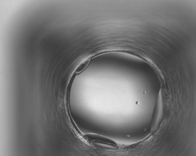 X0000059801197200510281630