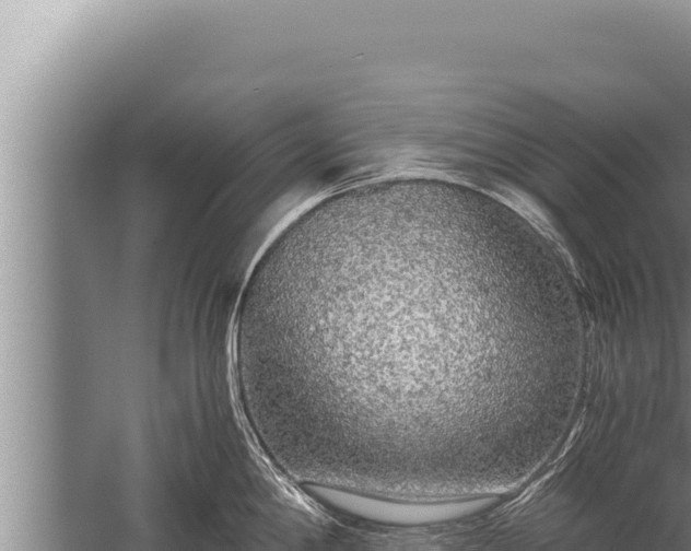 X0000059801198200510281630