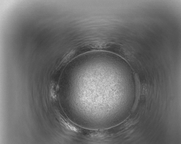 X0000059801202200510281630