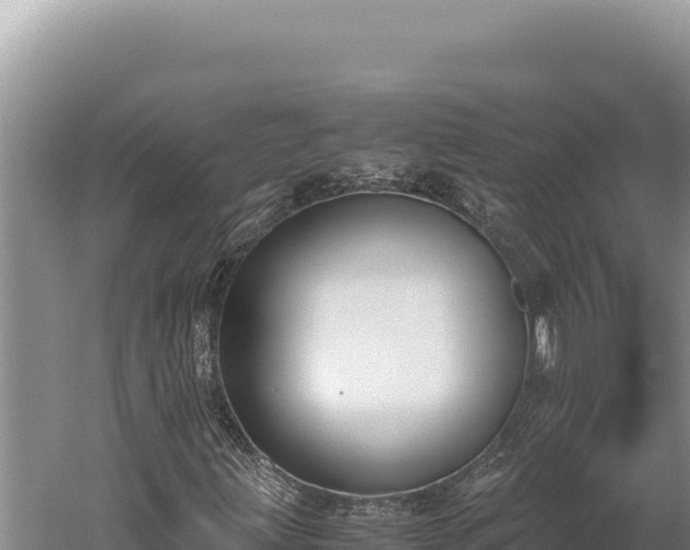 X0000059801203200510281630