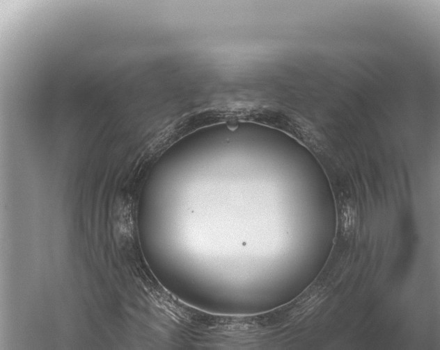 X0000059801204200510281630