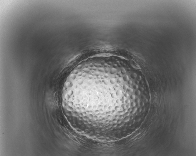 X0000059801205200510281630