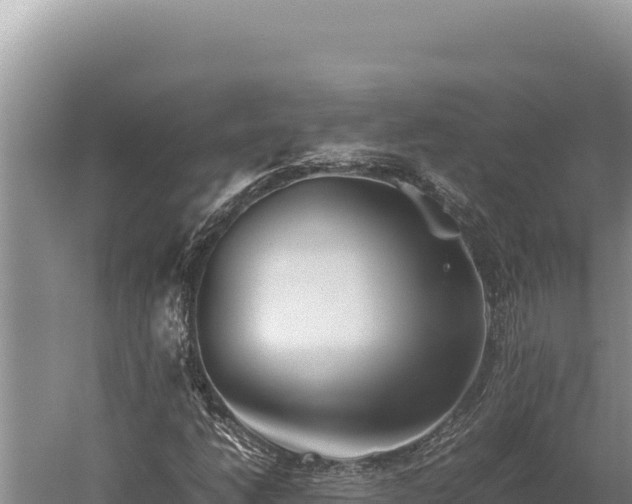 X0000059801206200510281630