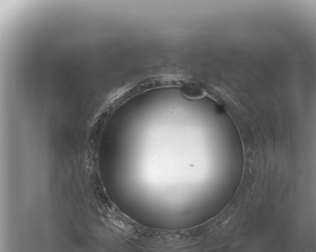 X0000059801207200510281630