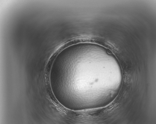 X0000059801208200510281630