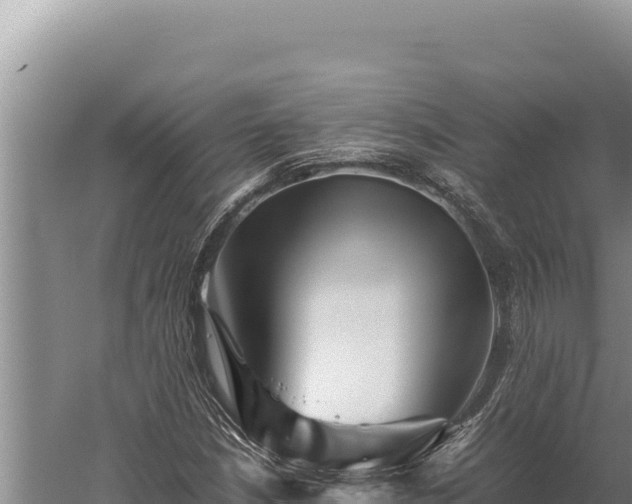 X0000059801210200510281630