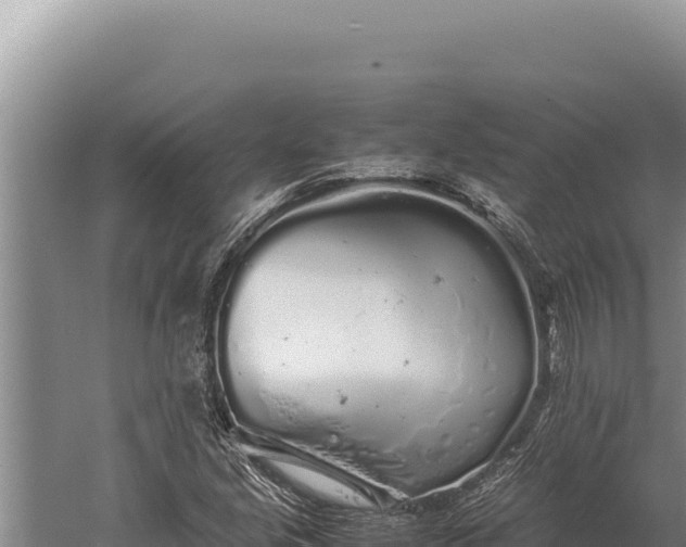 X0000059801213200510281630