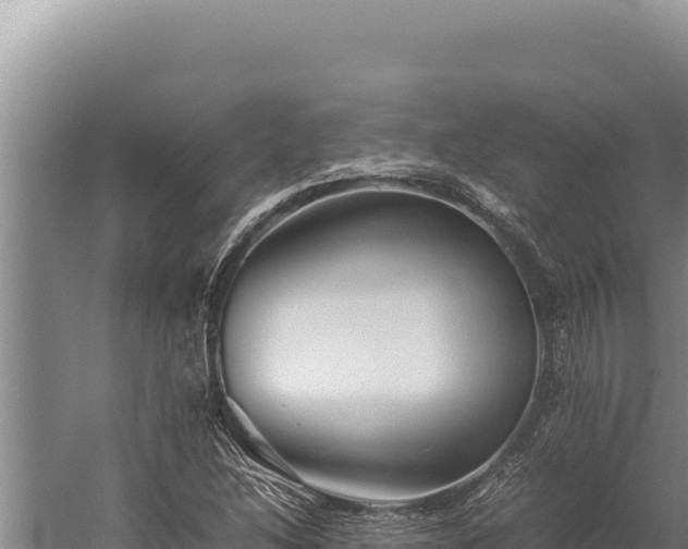 X0000059801214200510281630