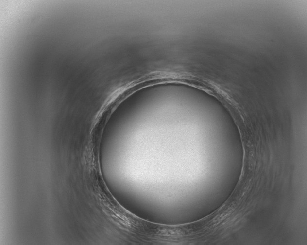 X0000059801215200510281630