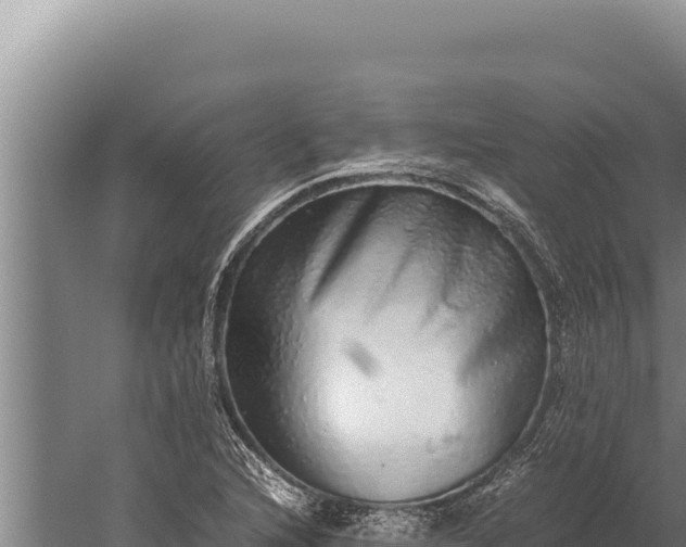 X0000059801216200510281630