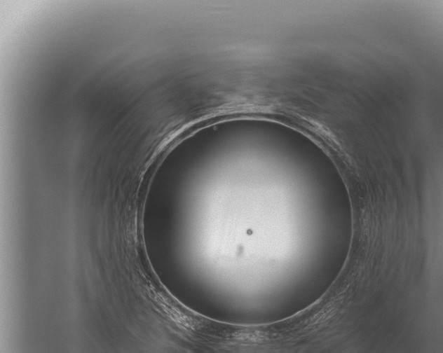 X0000059801220200510281630