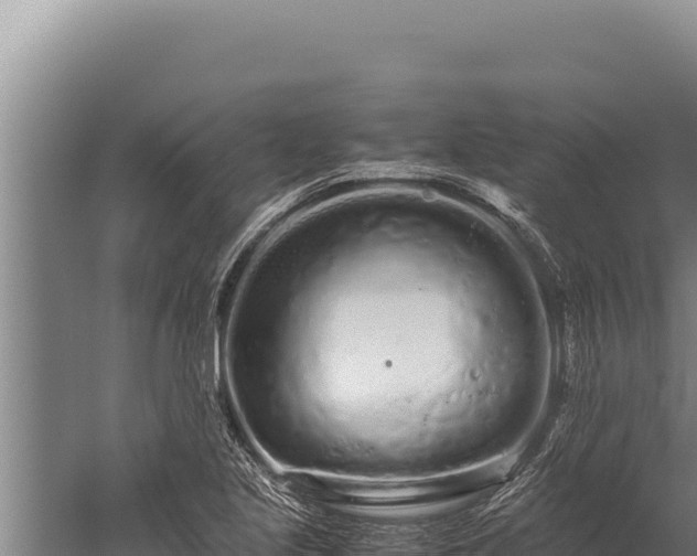 X0000059801221200510281630