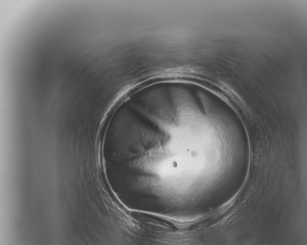 X0000059801224200510281630