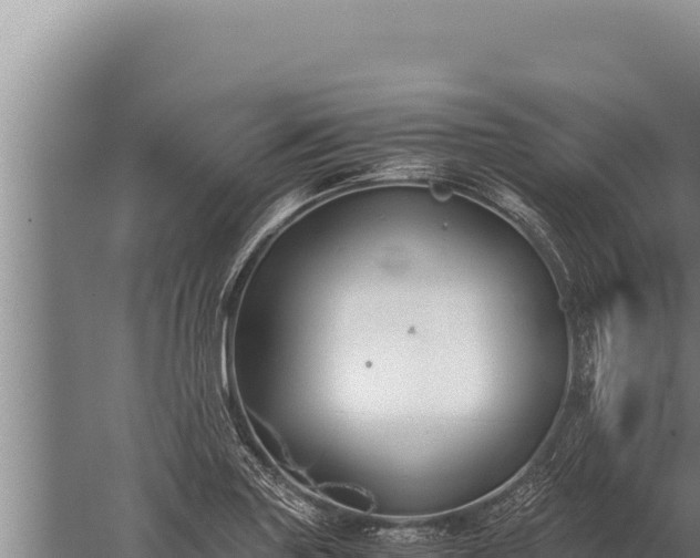 X0000059801227200510281630