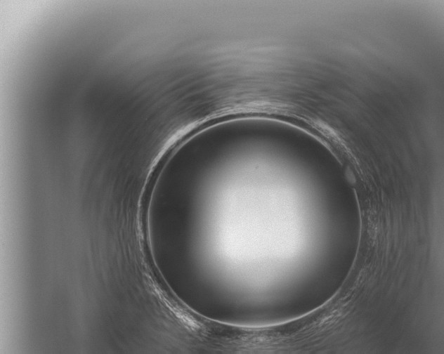 X0000059801230200510281630