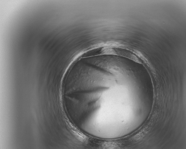 X0000059801232200510281630