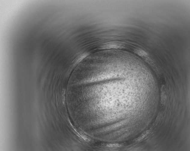 X0000059801233200510281630