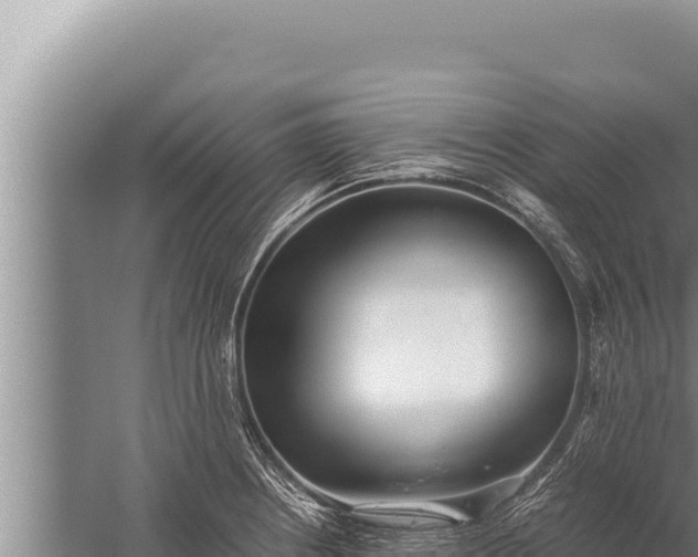 X0000059801234200510281630