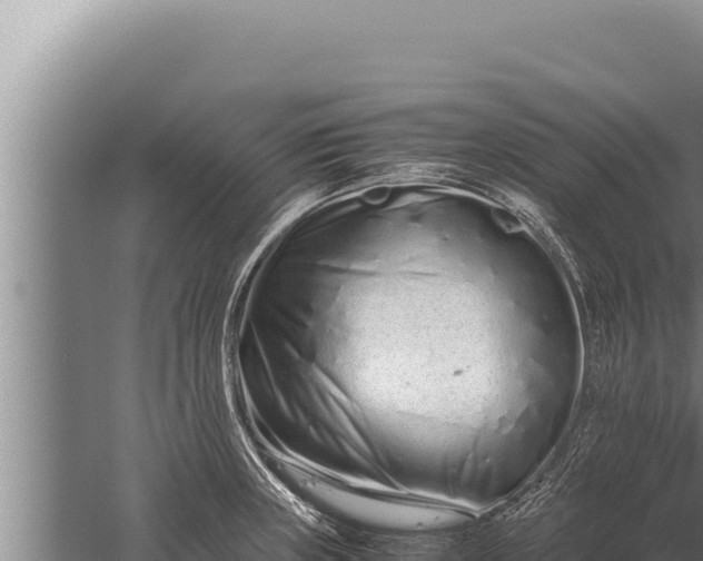 X0000059801235200510281630