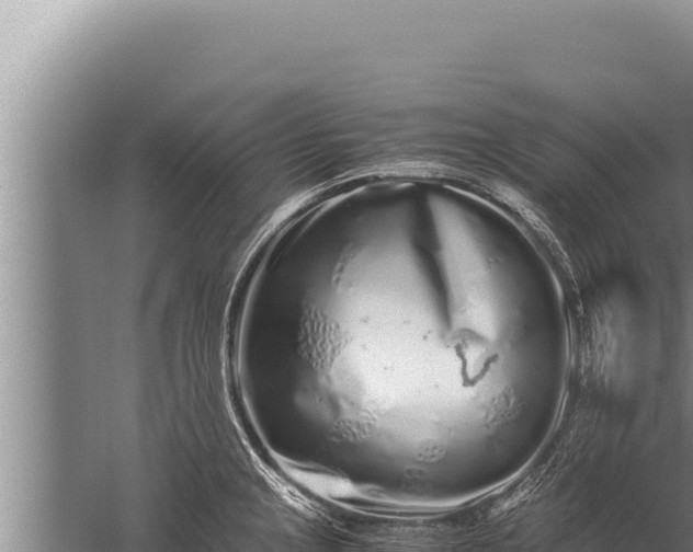 X0000059801237200510281630