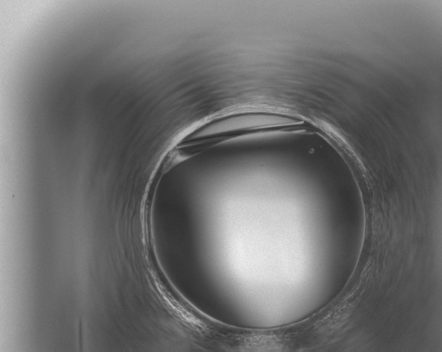 X0000059801238200510281630