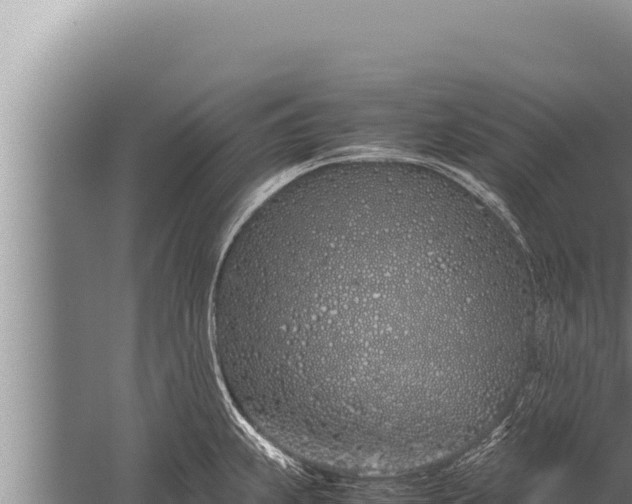 X0000059801239200510281630