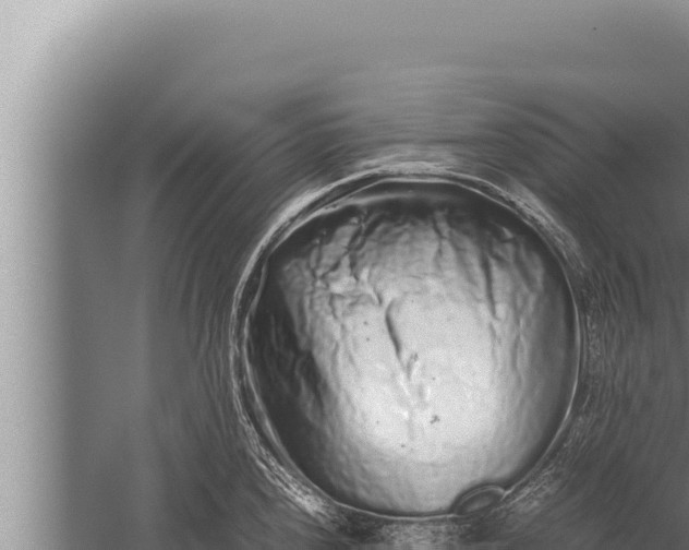 X0000059801240200510281630