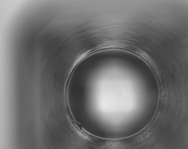 X0000059801242200510281630