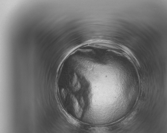 X0000059801244200510281630