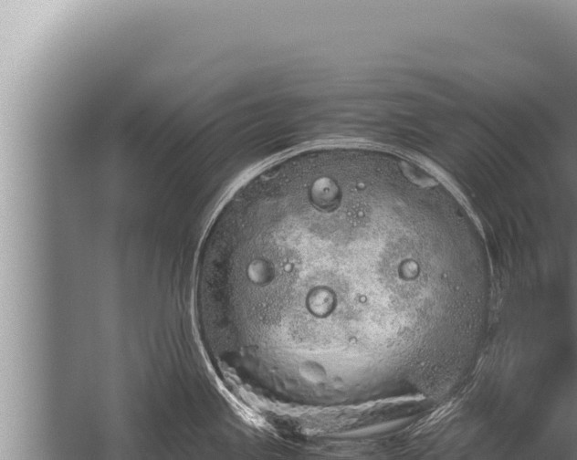 X0000059801245200510281630