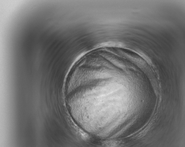 X0000059801248200510281630