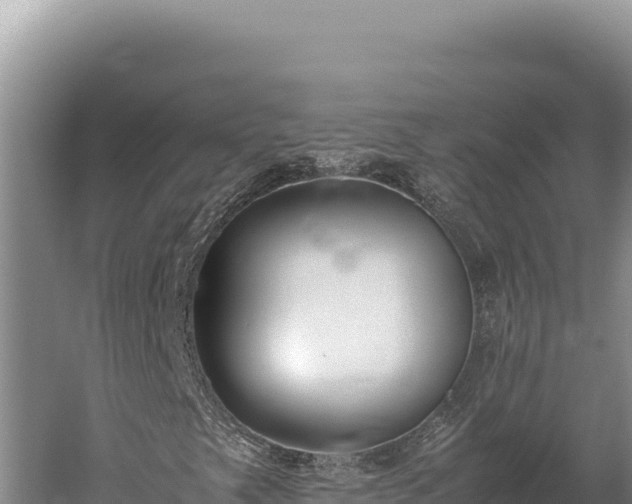 X0000059801249200510281629