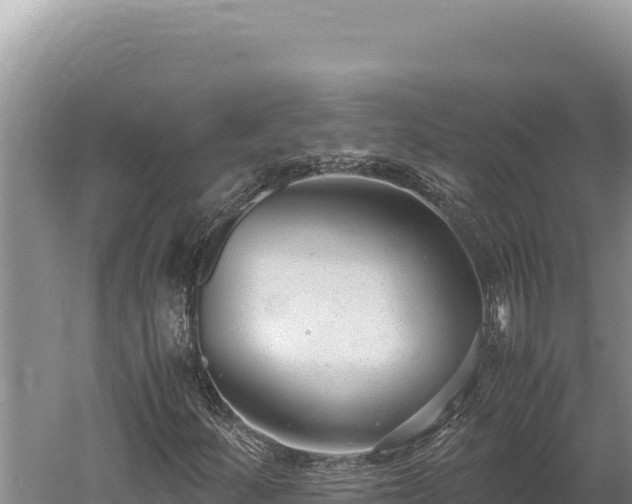 X0000059801252200510281629