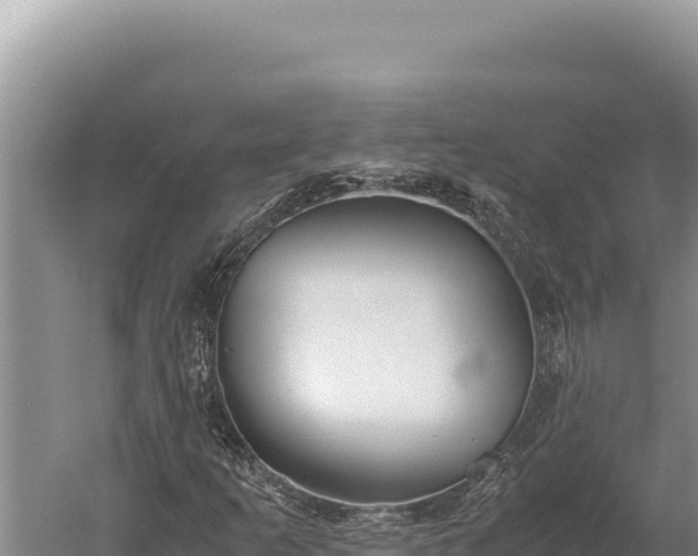 X0000059801253200510281629