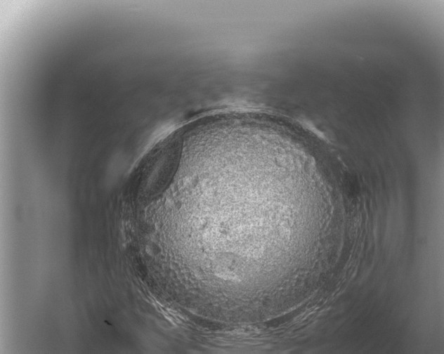 X0000059801255200510281629