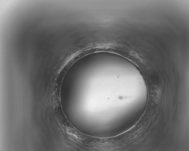 X0000059801256200510281629