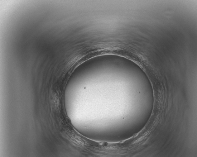 X0000059801257200510281629