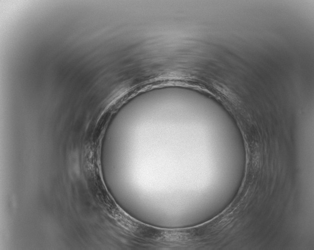 X0000059801258200510281629