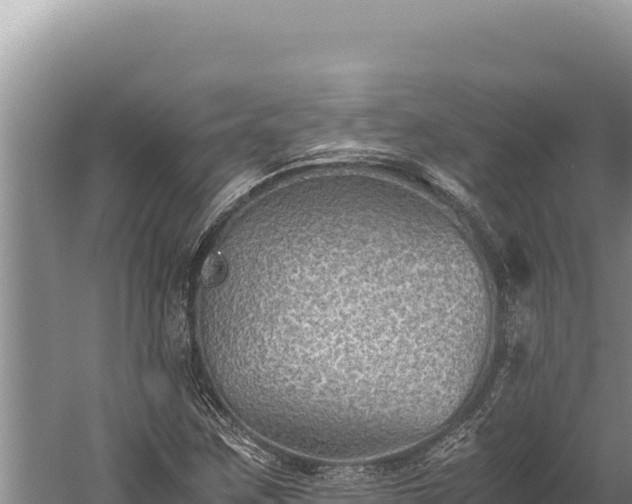 X0000059801259200510281629